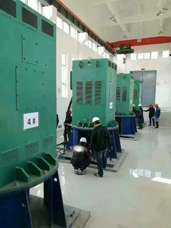 Y5005-12某污水处理厂使用我厂的立式高压电机安装现场