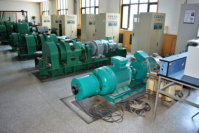 Y5005-12某热电厂使用我厂的YKK高压电机提供动力