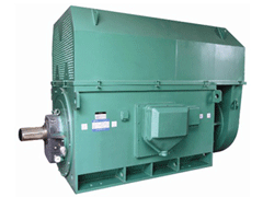 Y5005-12Y系列6KV高压电机