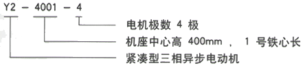 YR系列(H355-1000)高压Y5005-12三相异步电机西安西玛电机型号说明